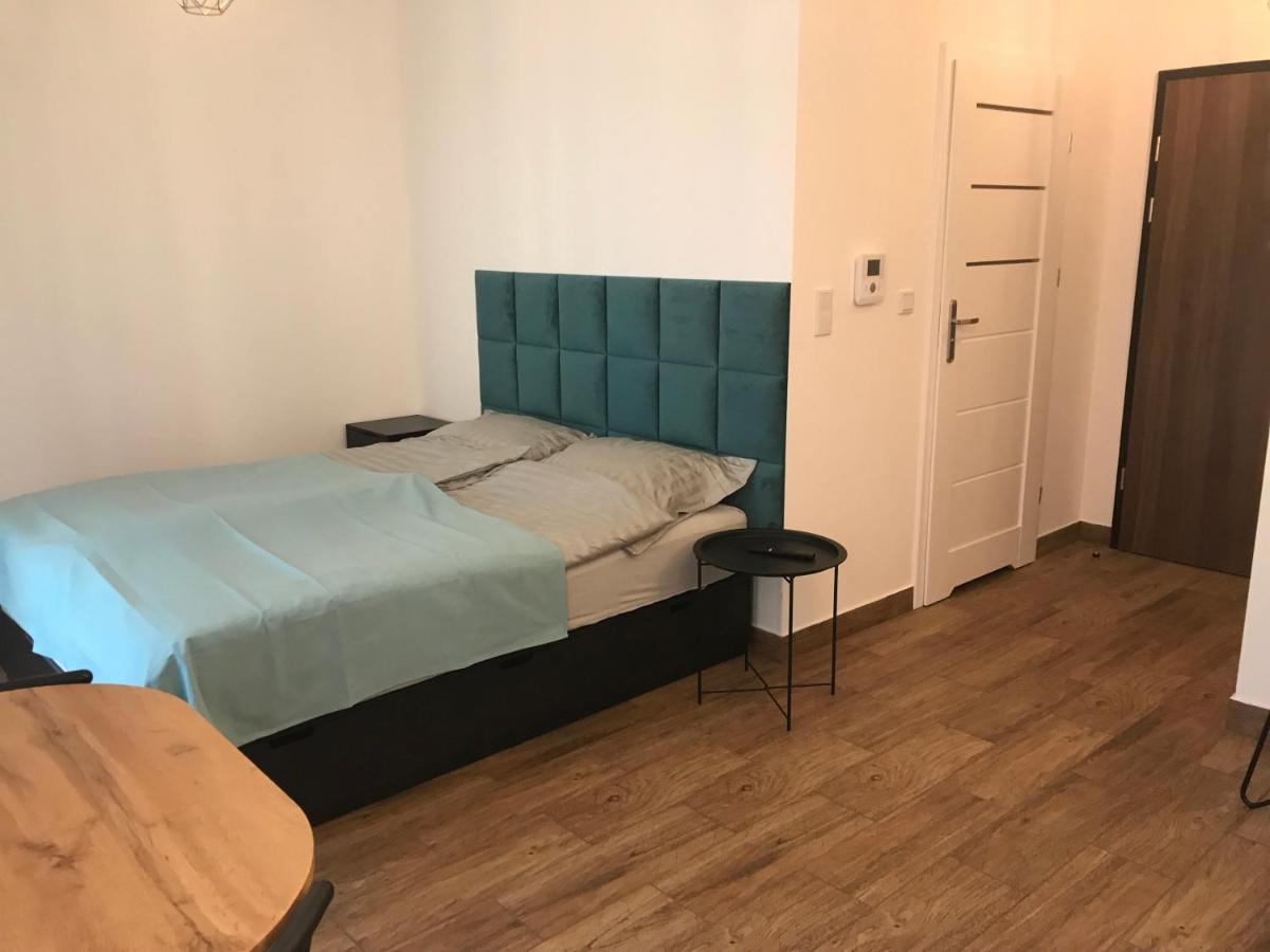 Steam Park Rakowicka Koper Apartment Краков Экстерьер фото