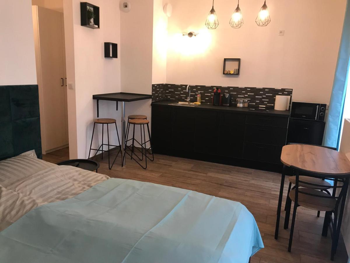 Steam Park Rakowicka Koper Apartment Краков Экстерьер фото